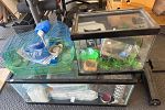 Sale Photo Thumbnail #10