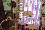 Sale Photo Thumbnail #179