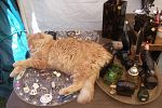 Sale Photo Thumbnail #15