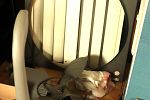 Sale Photo Thumbnail #11
