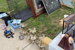 Sale Photo Thumbnail #15