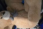 Sale Photo Thumbnail #20