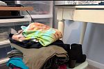 Sale Photo Thumbnail #34