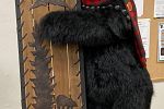 Sale Photo Thumbnail #14