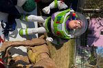 Sale Photo Thumbnail #9