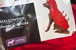 Sale Photo Thumbnail #28