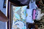 Sale Photo Thumbnail #13