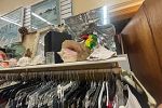 Sale Photo Thumbnail #9