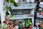 Sale Photo Thumbnail #12