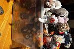 Sale Photo Thumbnail #21