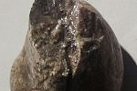Sale Photo Thumbnail #32