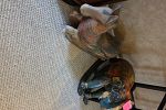 Sale Photo Thumbnail #40