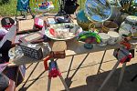 Sale Photo Thumbnail #19