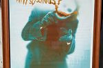 Sale Photo Thumbnail #21
