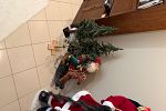 Sale Photo Thumbnail #16