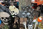 Sale Photo Thumbnail #7