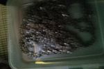 Sale Photo Thumbnail #37