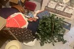 Sale Photo Thumbnail #4