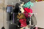 Sale Photo Thumbnail #1