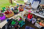 Sale Photo Thumbnail #7