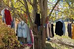 Sale Photo Thumbnail #1