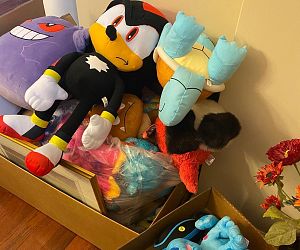 Sale Gallery Photo Thumbnail