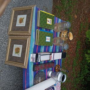 Yard sale photo in Summerfield, FL