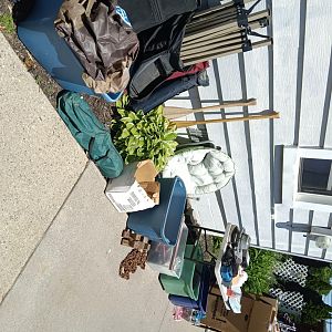 Yard sale photo in Taylor, MI