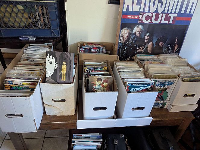BIG COLLECTIBLE SALE! LPs, Comics, Action Figures, LPs, Posters, T-Shirts, Fun photo